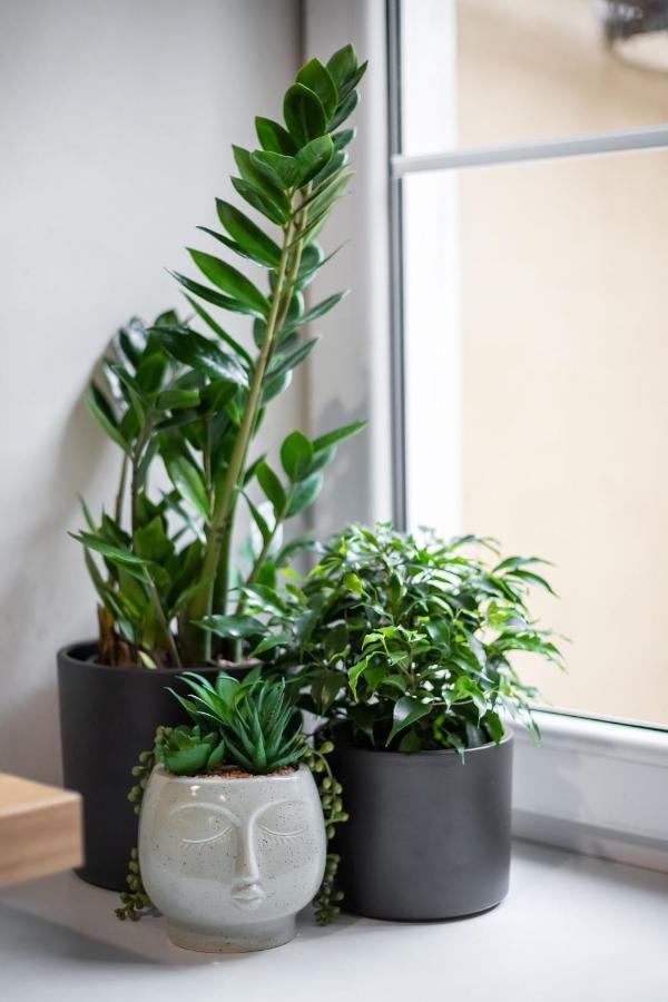 #Stayhere - Cozy 1Bdr Apartment Vilnius Old Town 외부 사진
